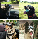 Dogs Protective Goggles