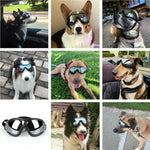 Dogs Protective Goggles