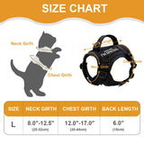 Cat Harness Vest