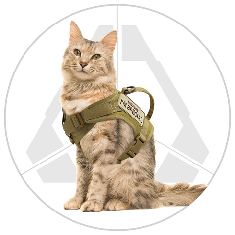 Cat Harness Vest