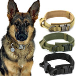 Military Dog Collar Adjustable